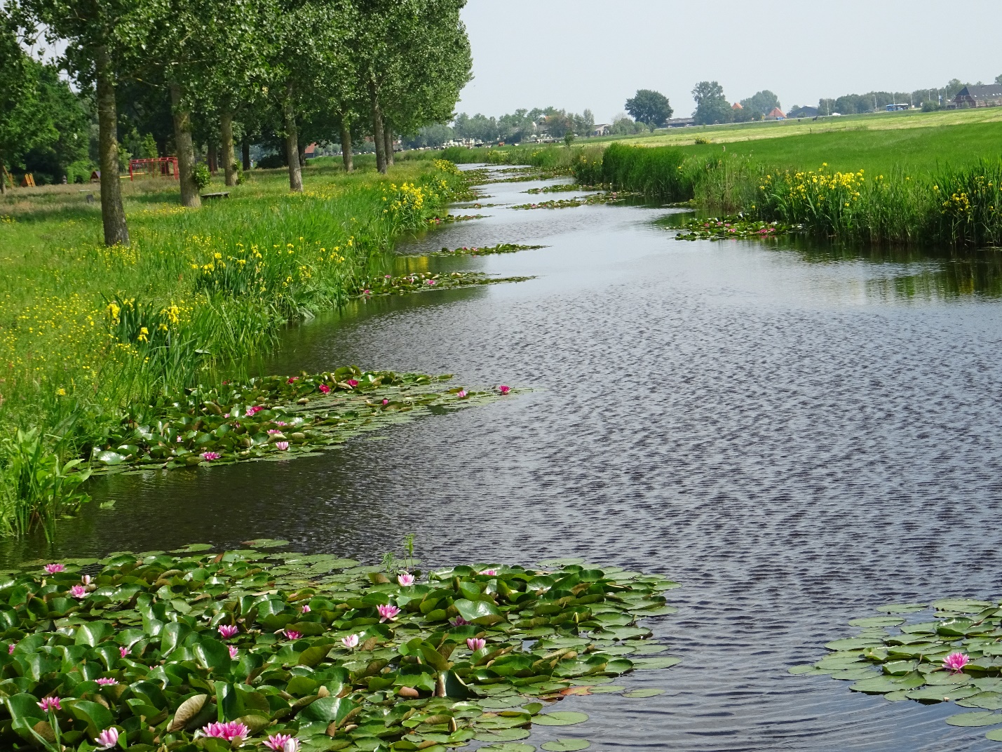 D:\jecke-hexe\Pictures\Solitaire\Friesland 2018\10 bis Sneek\Ijlst\DSC00947.JPG