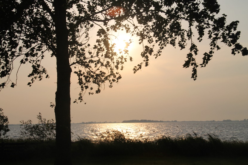 D:\jecke-hexe\Pictures\Solitaire\Friesland 2018\11 bis Sloten\IMG_3094.JPG