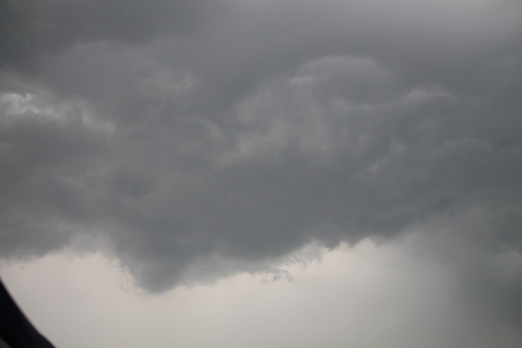 D:\jecke-hexe\Pictures\Solitaire\Friesland 2018\12 bis Ossenzijl\IMG_3123.JPG