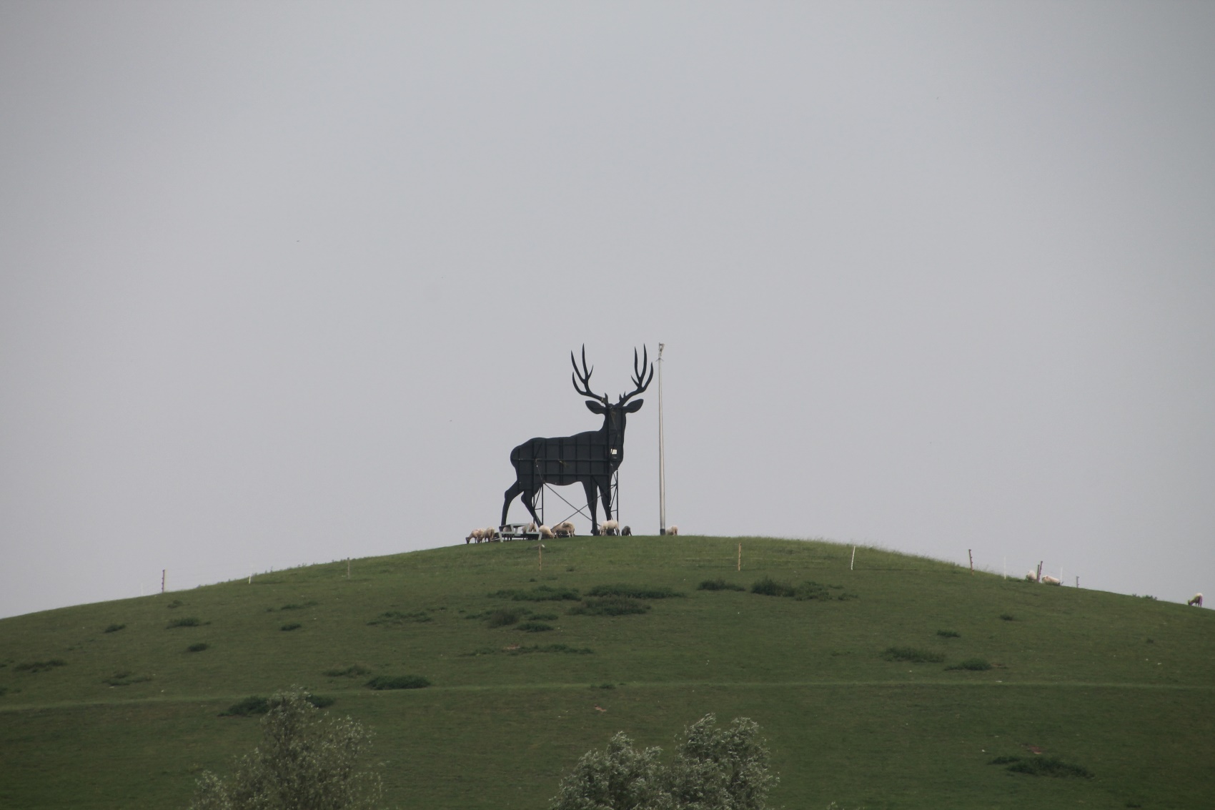 D:\jecke-hexe\Pictures\Solitaire\Friesland 2018\17 bis Plasmolen\IMG_3203.JPG