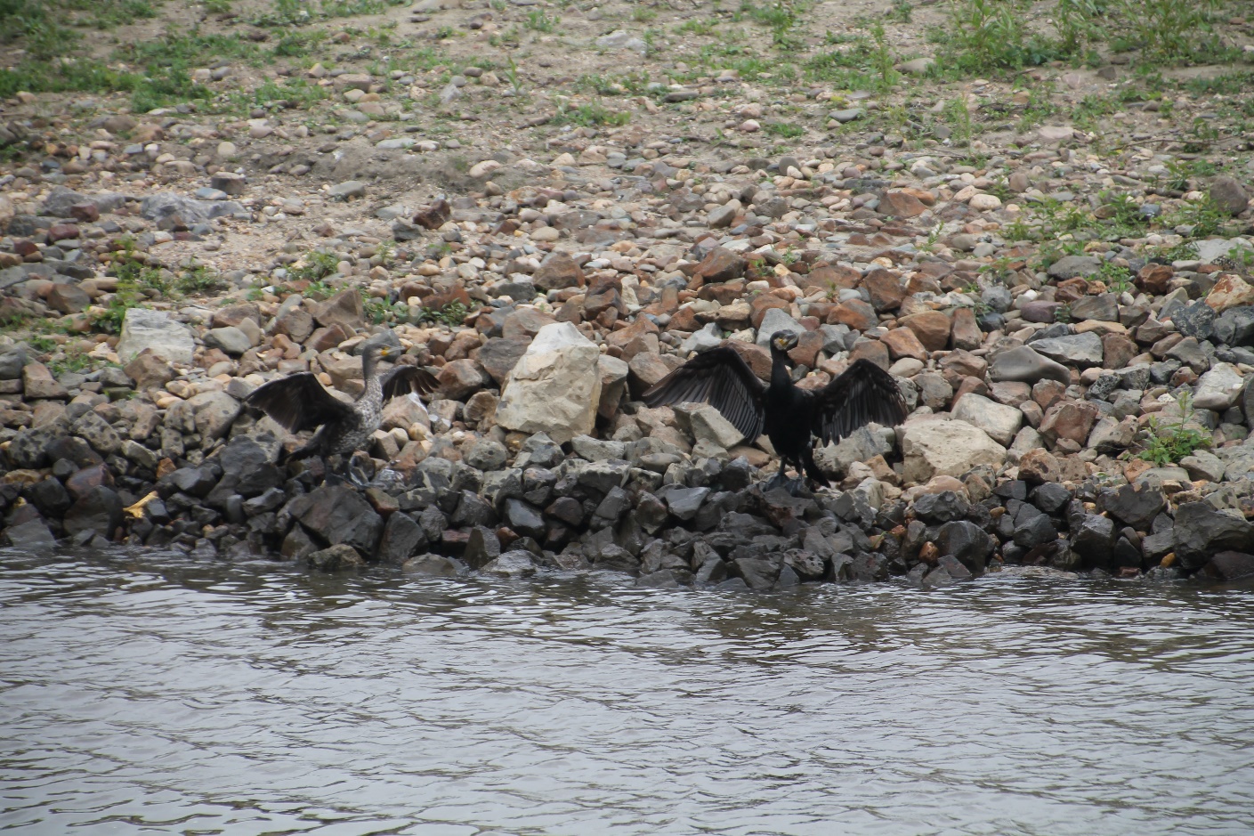 D:\jecke-hexe\Pictures\Solitaire\Friesland 2018\19 bis Neer\IMG_3288.JPG