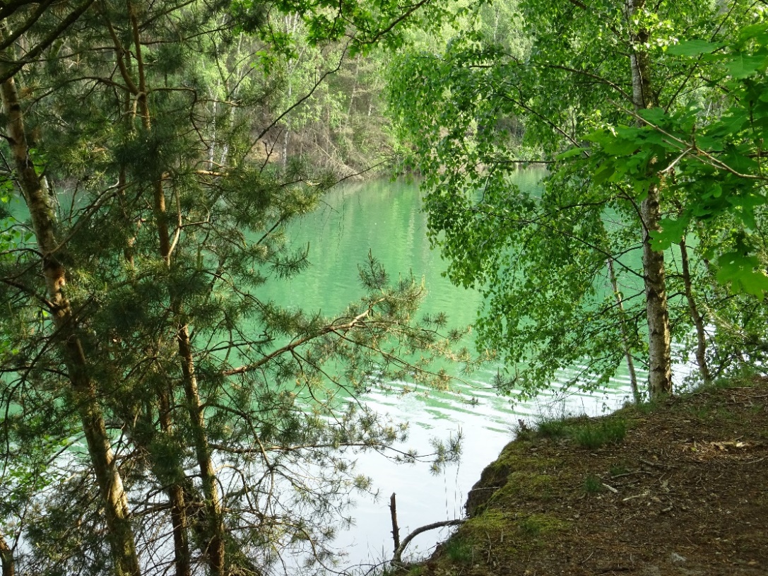 D:\jecke-hexe\Pictures\Solitaire\Friesland 2018\2bis Leukermeer\DSC00619.JPG