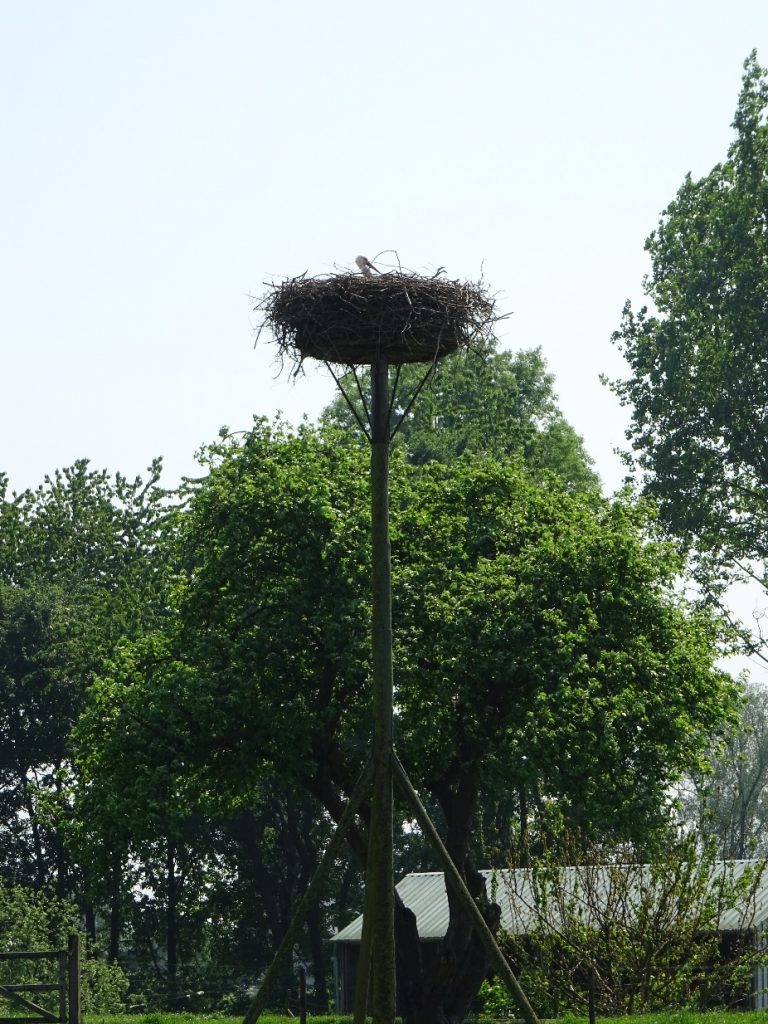 D:\jecke-hexe\Pictures\Solitaire\Friesland 2018\4 bis Giesbeek\DSC00656.JPG