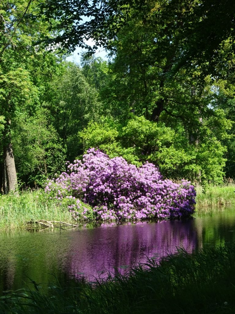 D:\jecke-hexe\Pictures\Solitaire\Friesland 2018\4 bis Giesbeek\Rheden\DSC00691.JPG