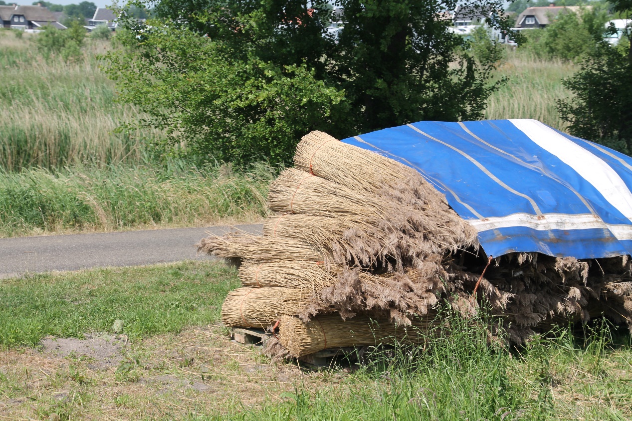 D:\jecke-hexe\Pictures\Solitaire\Friesland 2018\8 bis Giethorn\IMG_2876.JPG