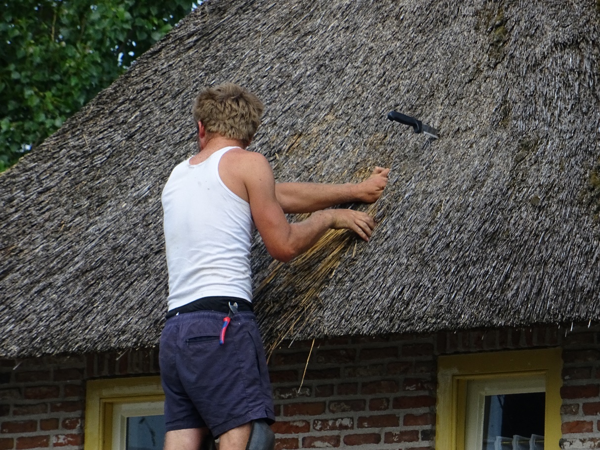 D:\jecke-hexe\Pictures\Solitaire\Friesland 2018\8 bis Giethorn\DSC00867.JPG