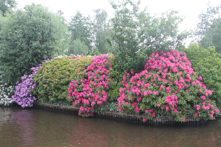 D:\jecke-hexe\Pictures\Solitaire\Friesland 2018\9 bis Tjeukemeer\IMG_2884.JPG