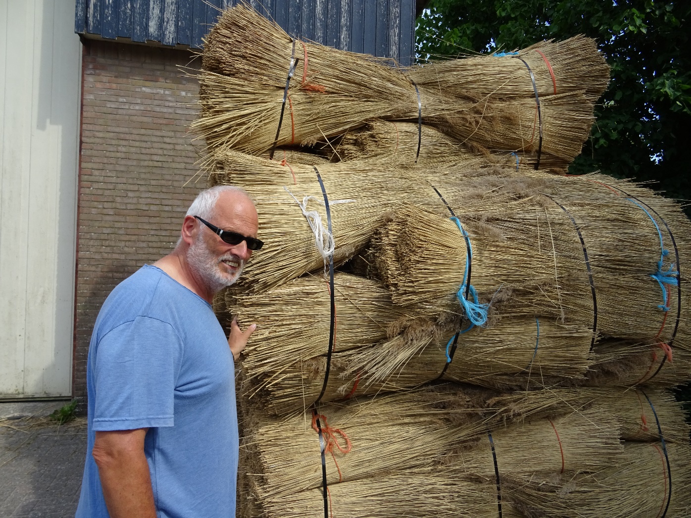 D:\jecke-hexe\Pictures\Solitaire\Friesland 2018\9 bis Tjeukemeer\DSC00889.JPG