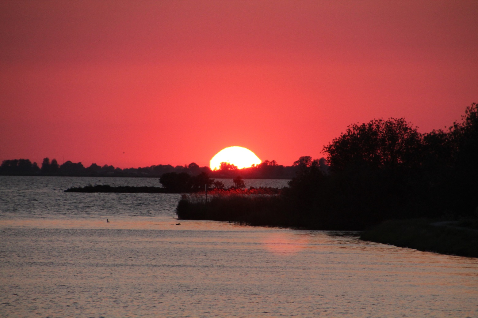 D:\jecke-hexe\Pictures\Solitaire\Friesland 2018\9 bis Tjeukemeer\IMG_2958.JPG