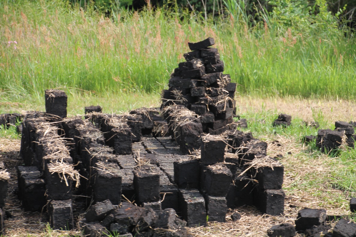 D:\jecke-hexe\Pictures\Solitaire\Friesland 2018\9 bis Tjeukemeer\IMG_2908.JPG