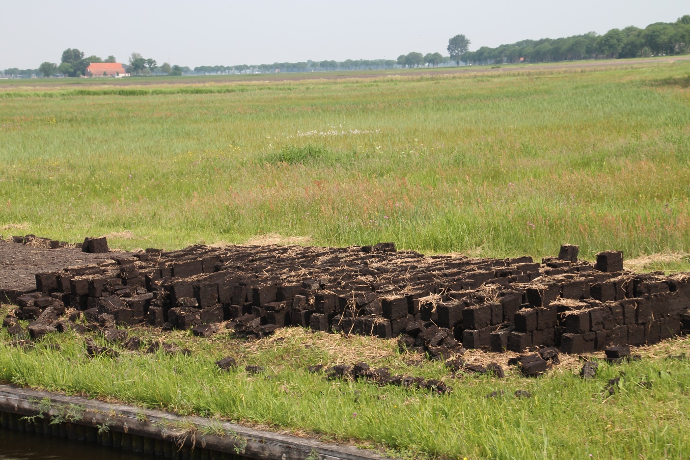 D:\jecke-hexe\Pictures\Solitaire\Friesland 2018\9 bis Tjeukemeer\IMG_2907.JPG