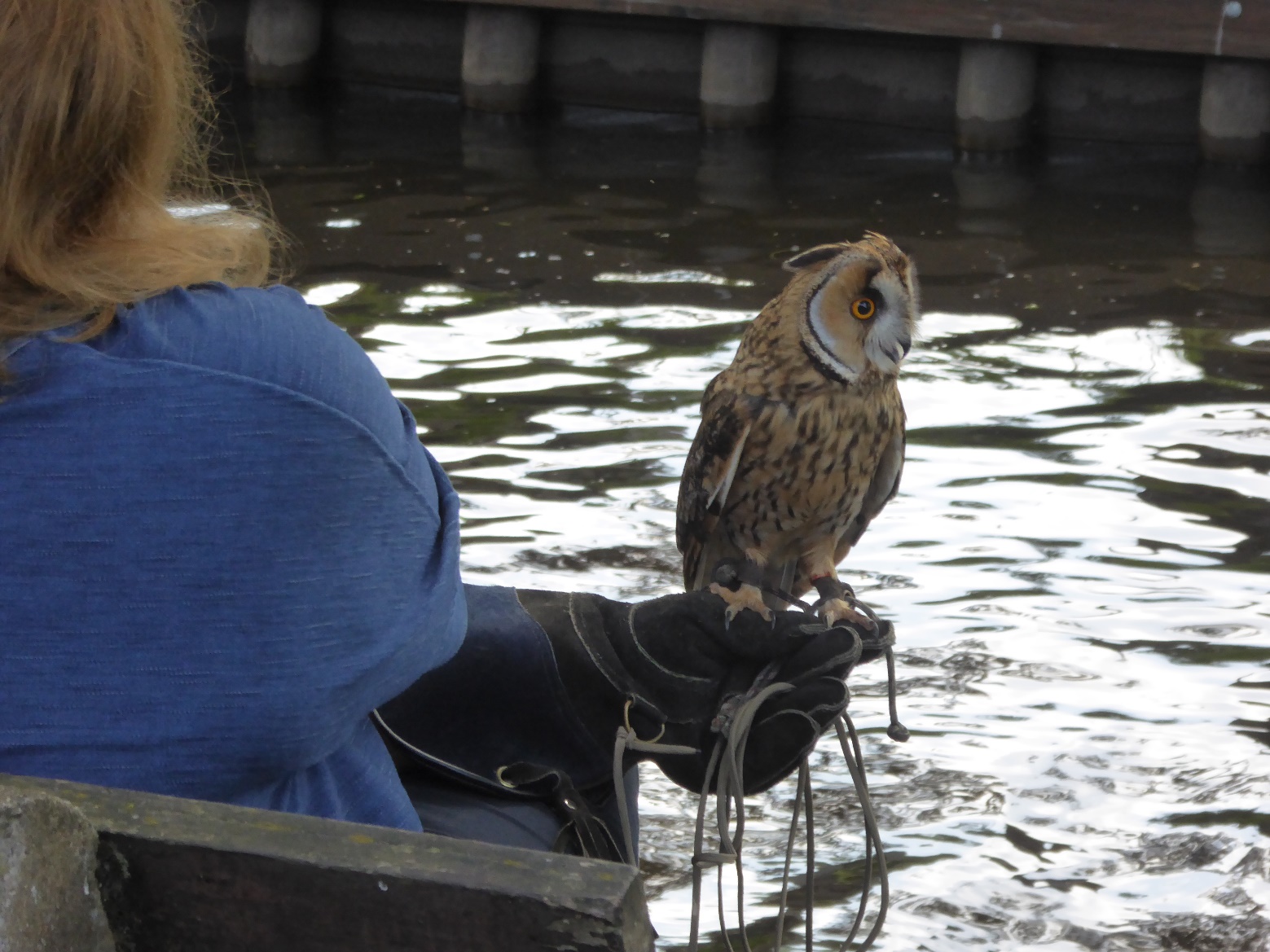 D:\jecke-hexe\Pictures\Solitaire\Friesland 2018\Rudi\P1020309.JPG