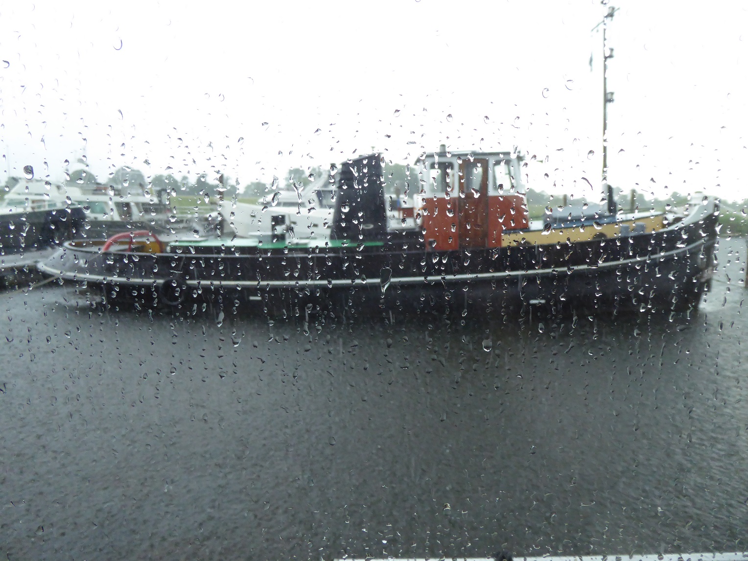 D:\jecke-hexe\Pictures\Solitaire\Friesland 2018\Rudi\P1020511.JPG