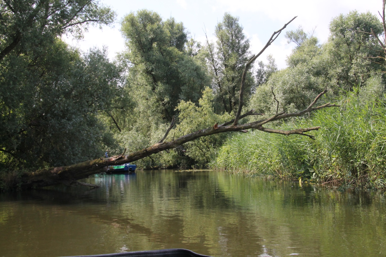F:\Solitaire\Biesbosch 6_15\Fotos\7 bis Biesbosch 05 06_07_15\06_07_15\IMG_1025.JPG