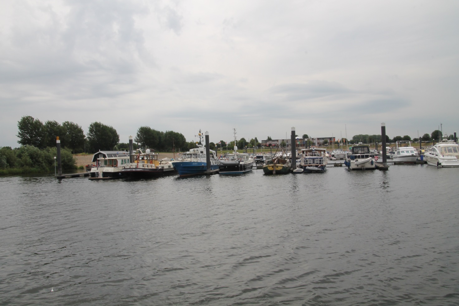 F:\Solitaire\Biesbosch 6_15\Fotos\8 bis Lithse Ham 07_07_15\IMG_1075.JPG
