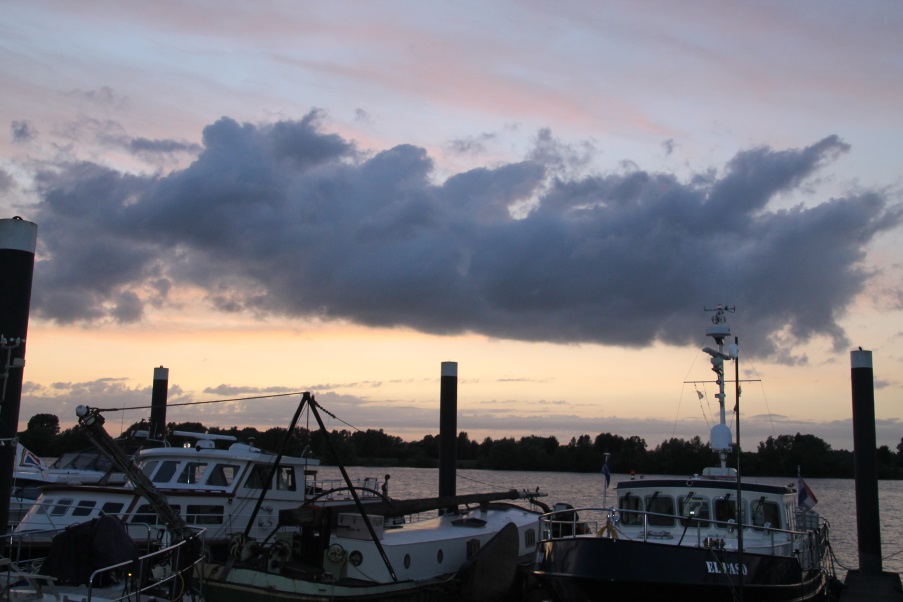 F:\Solitaire\Biesbosch 6_15\Fotos\8 bis Lithse Ham 07_07_15\IMG_1083.JPG