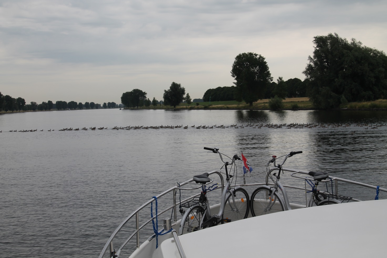 F:\Solitaire\Biesbosch 6_15\Fotos\8 bis Lithse Ham 07_07_15\IMG_1072.JPG