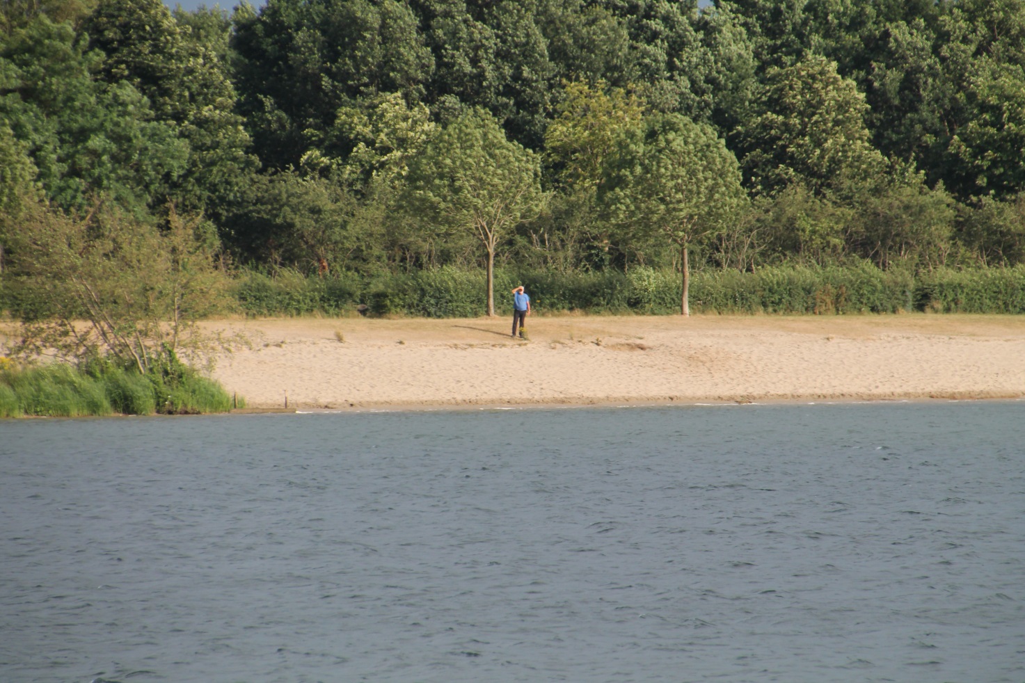 F:\Solitaire\Biesbosch 6_15\Fotos\9 bis Kraijenbergse Plassen 08_07_15\IMG_1101.JPG