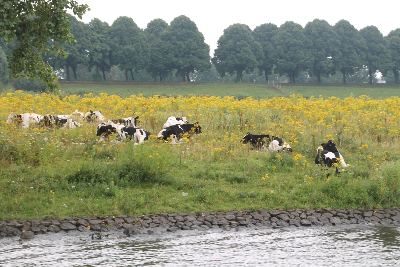 F:\Sommer Tour 2016\Fotos\8 bis Hertogenbosch\IMG_1953.JPG