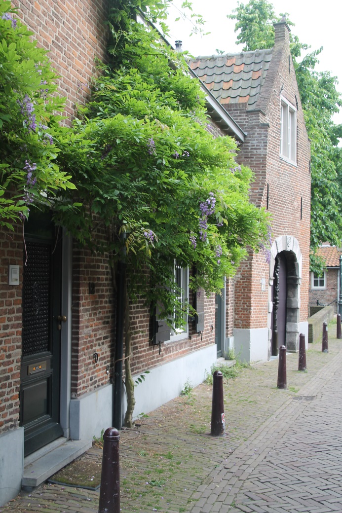 F:\Sommer Tour 2016\Fotos\8 bis Hertogenbosch\IMG_1987.JPG